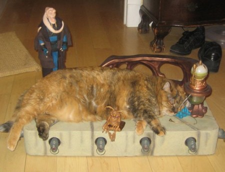 Jabba the Catt